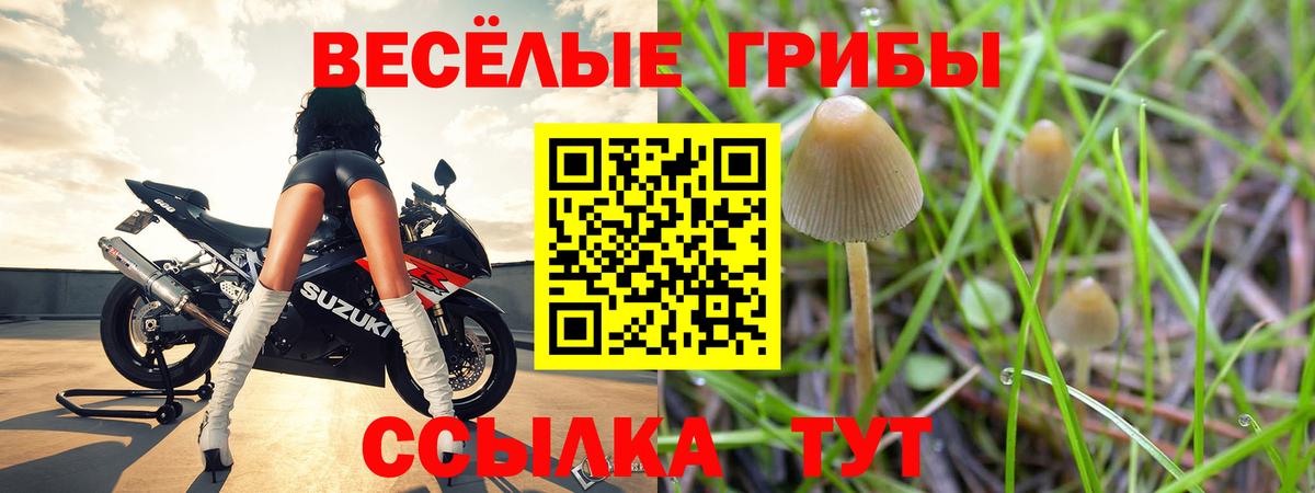 Галлюциногенные грибы MAGIC MUSHROOMS  Галлюциногенные грибы ЛСД  Вход с VPN  Чебоксары 